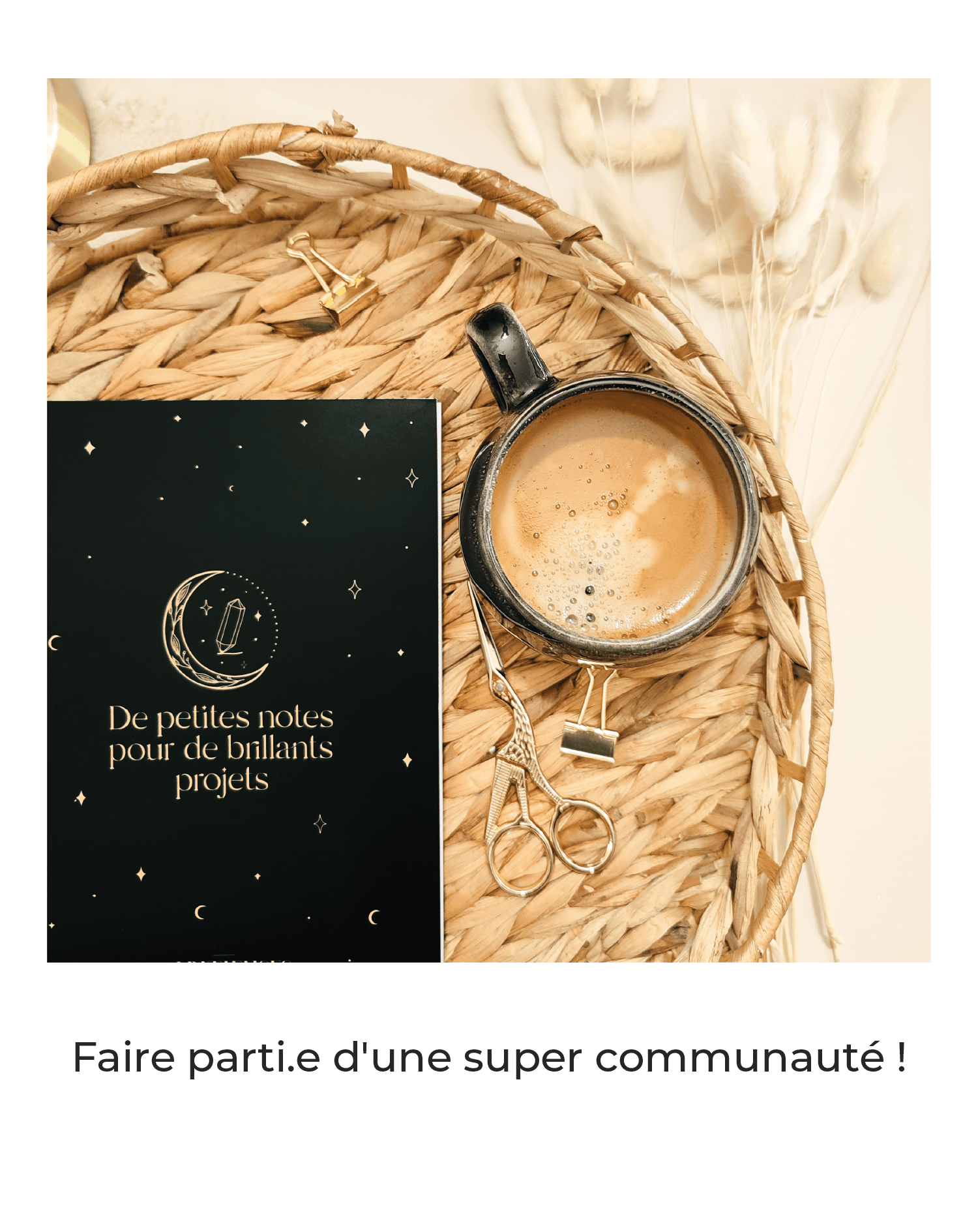 Avantage d'être Ambassadeur